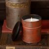 The Healing Power of Aromatic Plants, Creating a Sensory Sanctuary The Power of Aromatic candles, Creating a Sensory Sanctuary