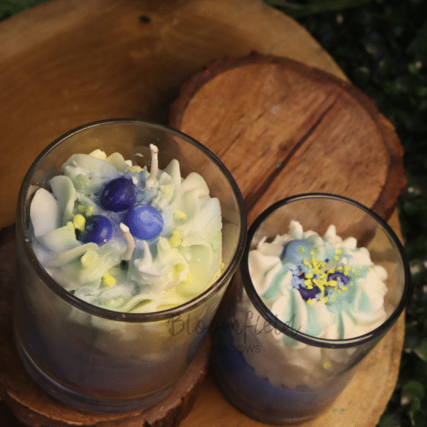 Blueberry Crunchies