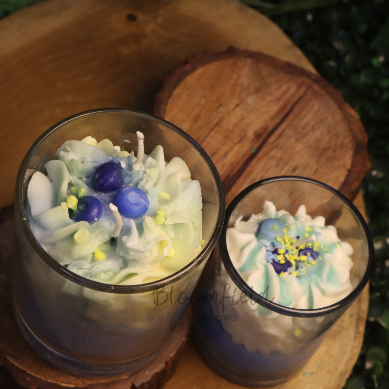 Blueberry Crunchies
