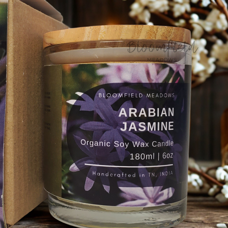 Arabian Jasmine