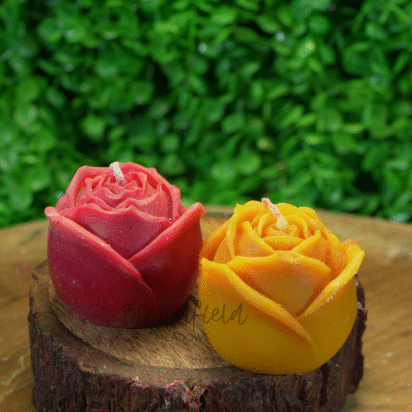 Bloom Rose 1 - Image 2