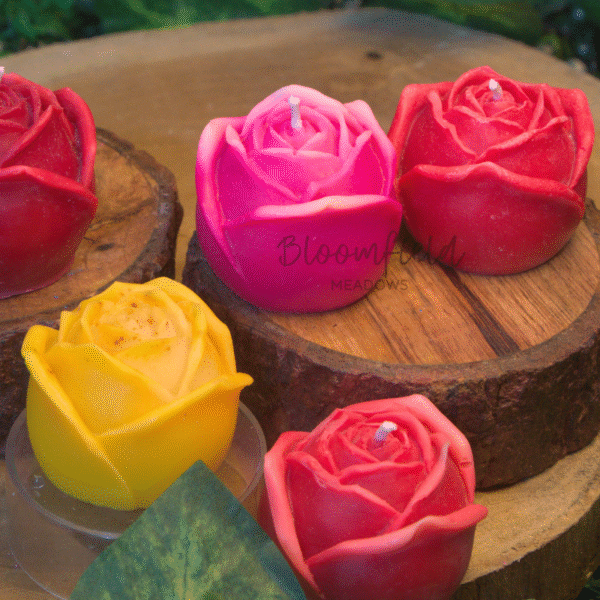 Bloom Rose 1 - Image 3