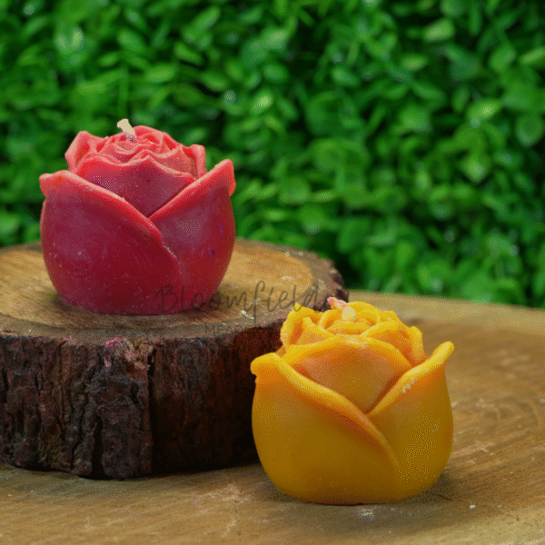 Bloom Rose 1 - Image 4