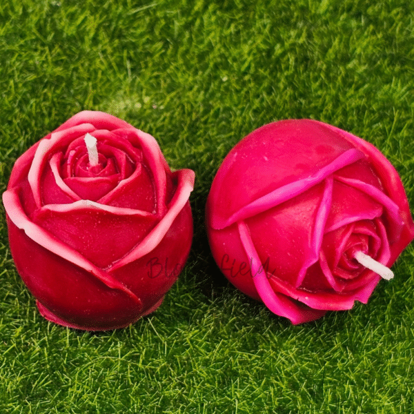 Bloom Rose 1 - Image 7