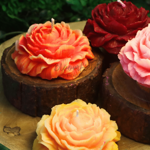 Peony Rose - Image 2
