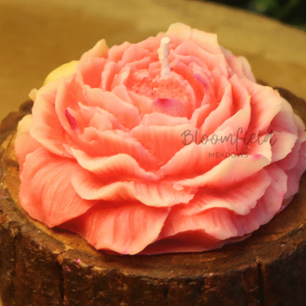 Peony Rose - Image 3