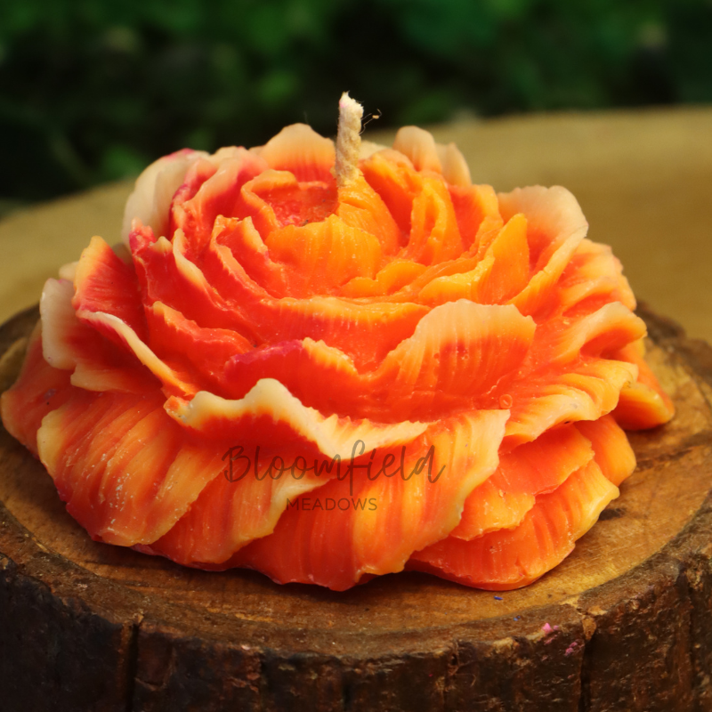 Peony Rose