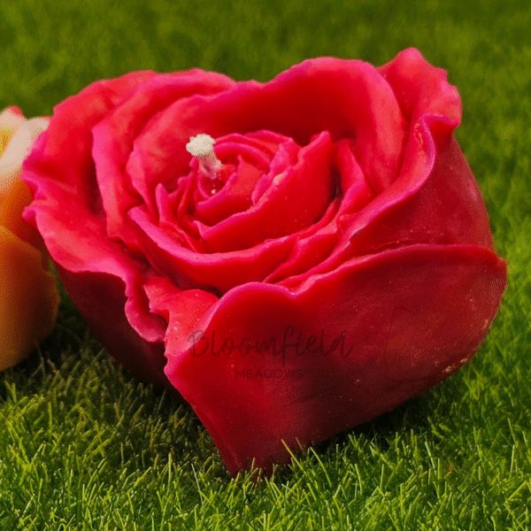 Heart Rose