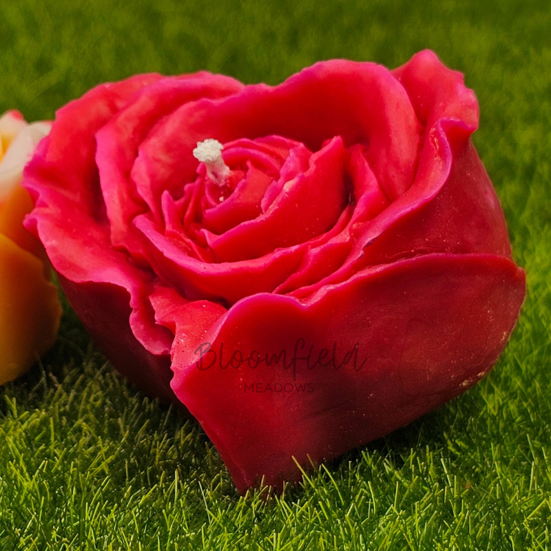 Heart Rose
