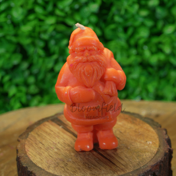 Santa Claus 1 - Image 3