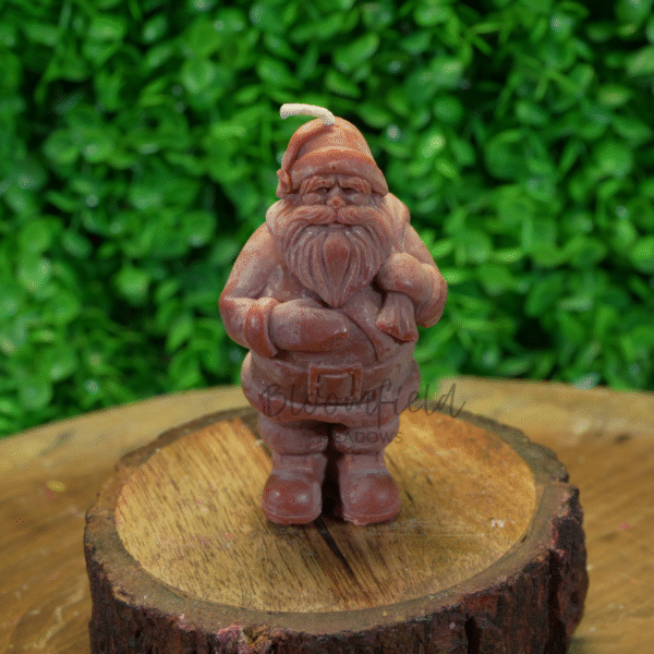 Santa Claus 1 - Image 4