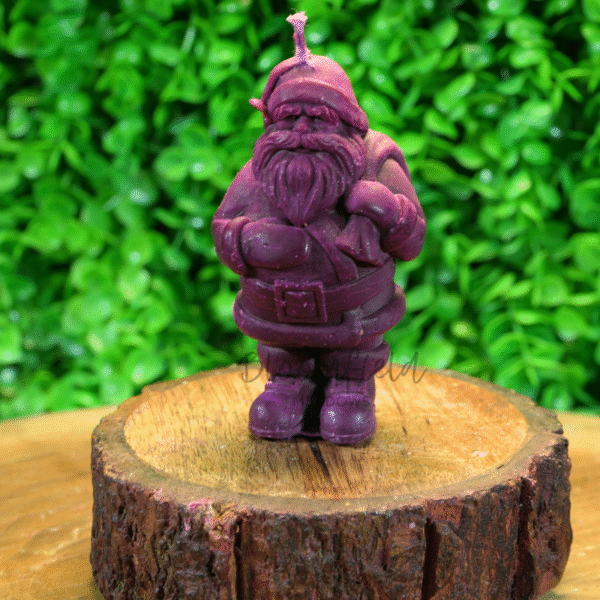 Santa Claus 1 - Image 5