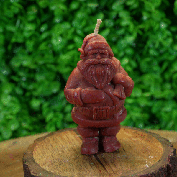 Santa Claus 1 - Image 6