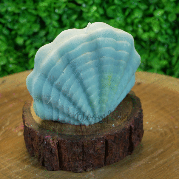 Shell - Image 3
