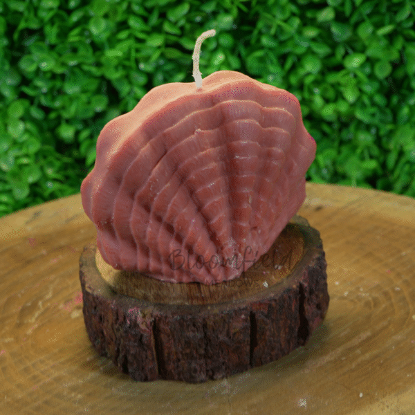 Shell - Image 4