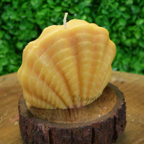 Shell - Image 5