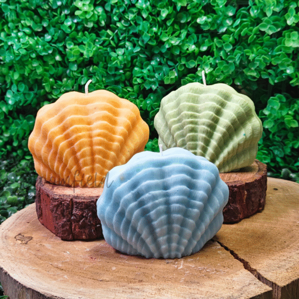 Shell