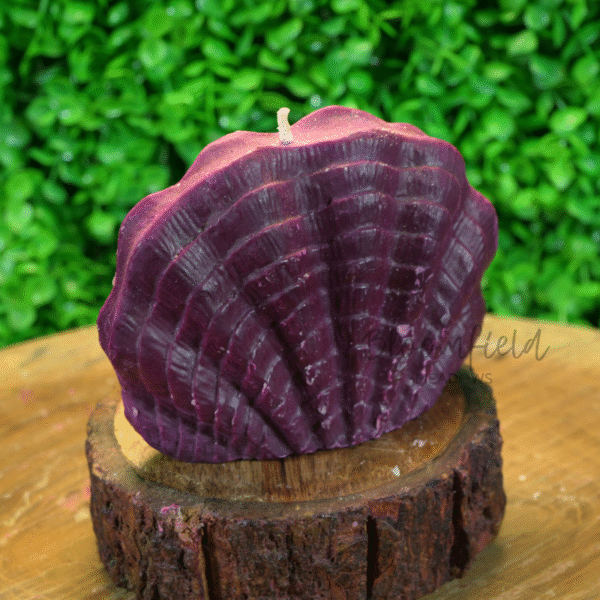 Shell - Image 7