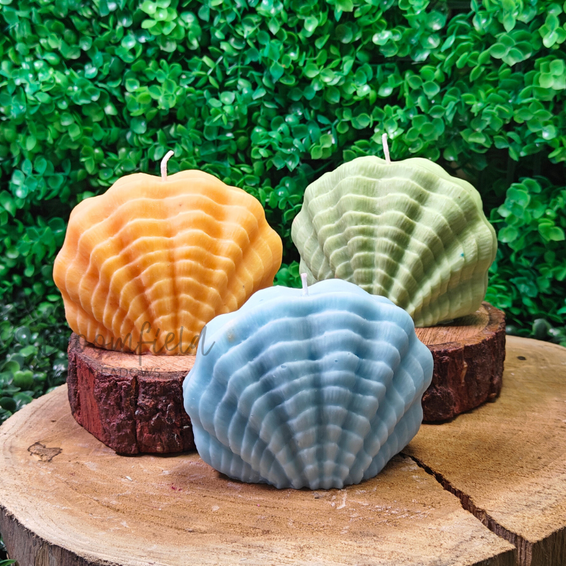 Shell