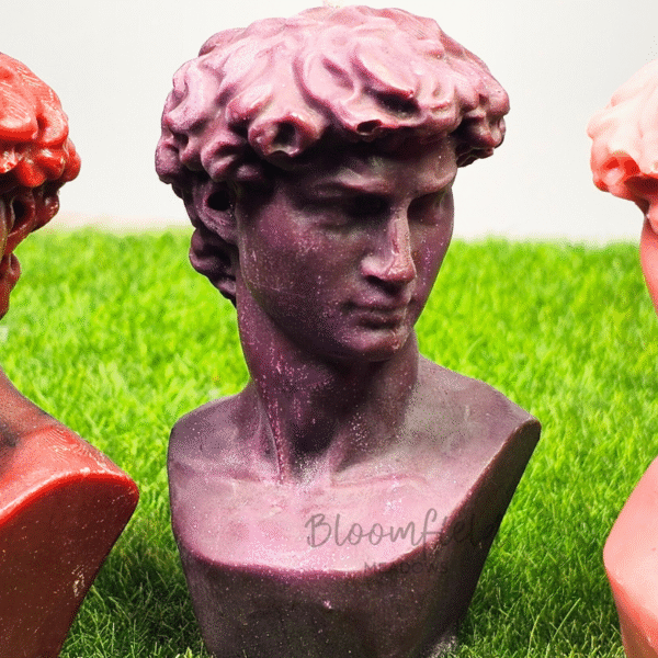 David - Image 3