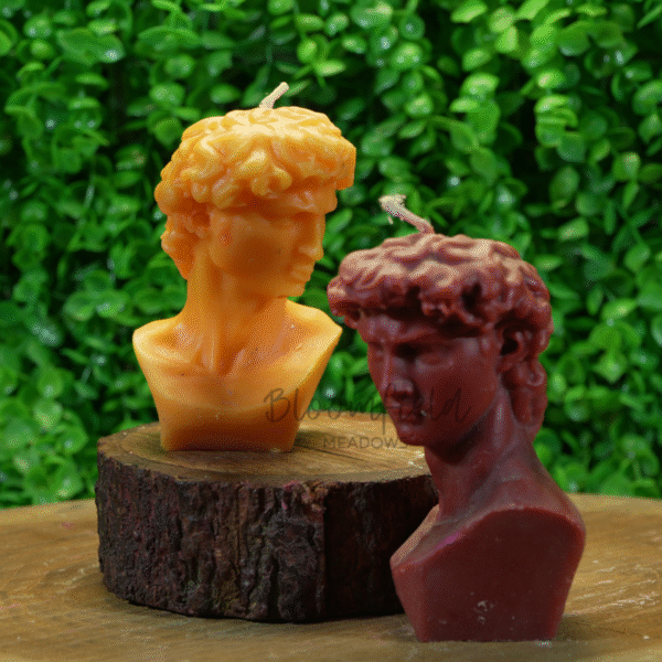David - Image 5