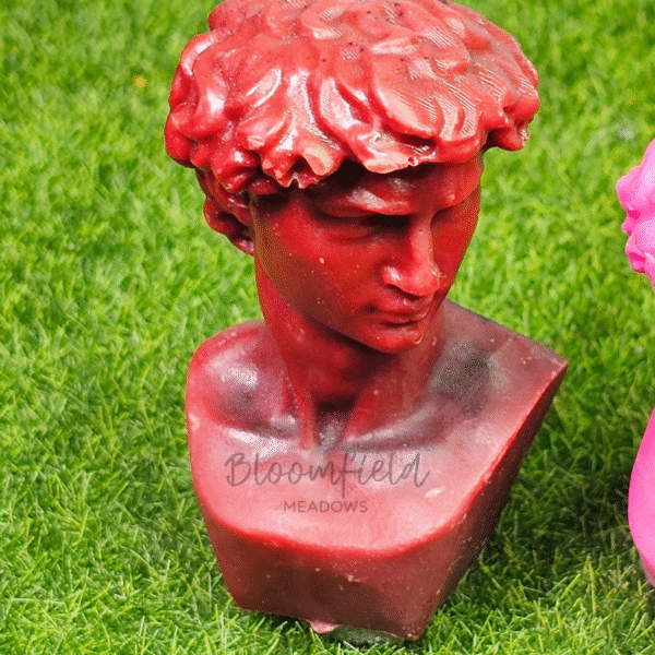David - Image 6