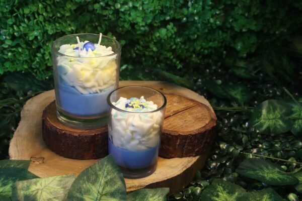 Blueberry Crunchies - Image 4