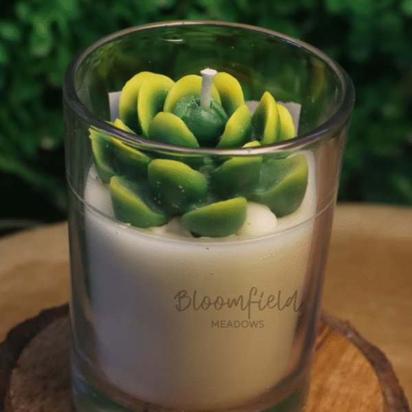 Green Oasis