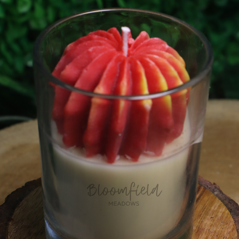 Red Oasis